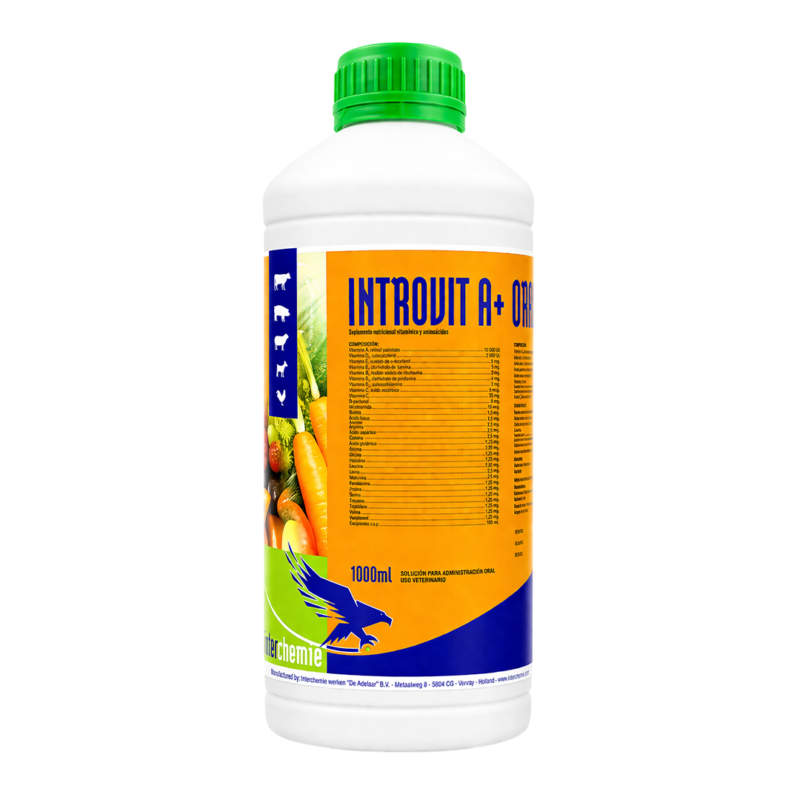 INTROVIT A + ORAL / 100 ml, 1 Lt. - importvet.pe